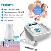New Cool and Hot Skin Rejuvenation D-Cool Cryo Facial Cooling Massager D-cool Electroporation ION Facial Care Beauty Equipment 1