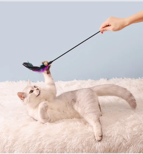 5pcs/set Cat Interactive Wand Colorful Feather Chicken Feather Cat Stick Bell Portable Creative Fashion Novelty Pet Cat Supplies 4