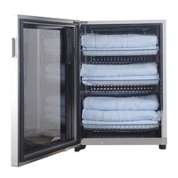 Tableware Disinfection Cabinet for Clothes Toy Book Stainless Dish Dryer Steril Steel Household Commercial Disinfection Cabinet 2