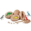 Dinosaur Eggs jurassic Park Tyrannosaurus Model Toys Scientific Mining Dinosaur Archeology Digging Educational Toys For Kid Boy 1