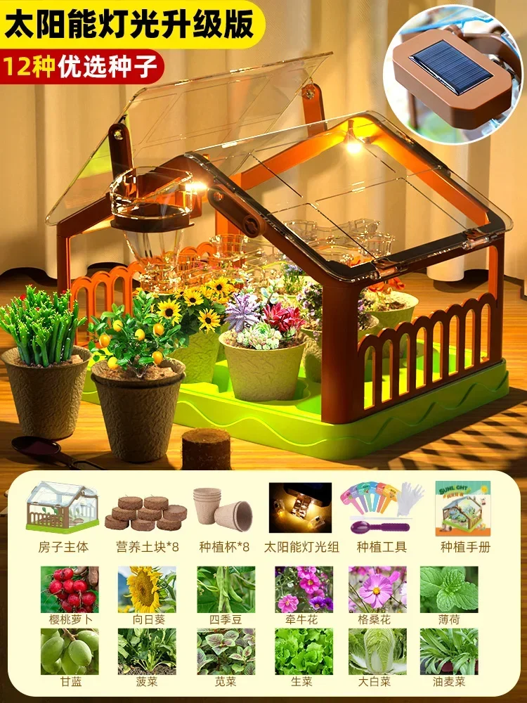 منزل زراعة أشعة الشمس للأطفال تجربة علمية صندوق مر...