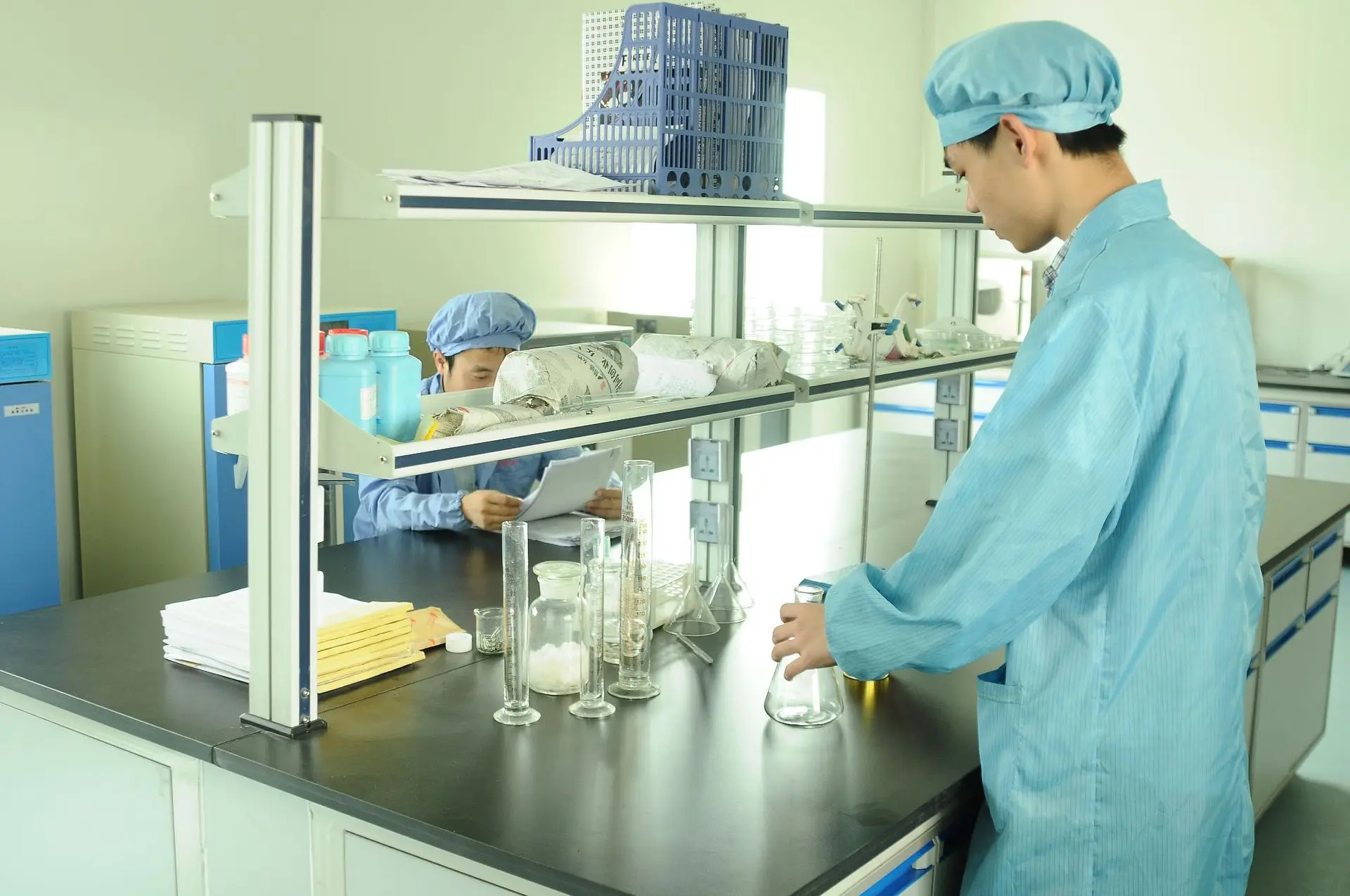 Sexy Underwear Women Floral Lace Panties Low Waist Female Underpants Hollow Out Lace Briefs Transparent Pantys S-2XL