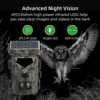 1080P Camera IP65 2.0in Wildlife Camera with 0.45S  Time for Outdoor Camera outdoor camera hunting camera wildlife camera 3