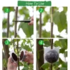 Plant Rooting Ball High Pressure Graft Breeding Case Nursery Box Propagation Plant Root Pot Garden Accessories 5