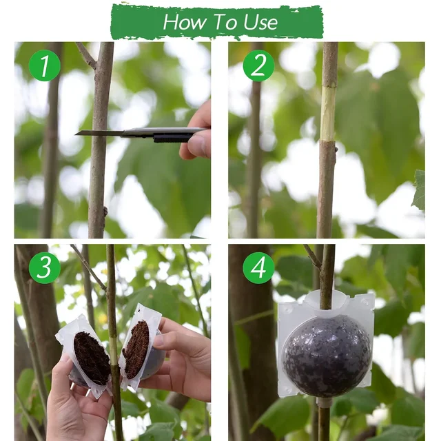 Plant Rooting Ball High Pressure Graft Breeding Case Nursery Box Propagation Plant Root Pot Garden Accessories 5