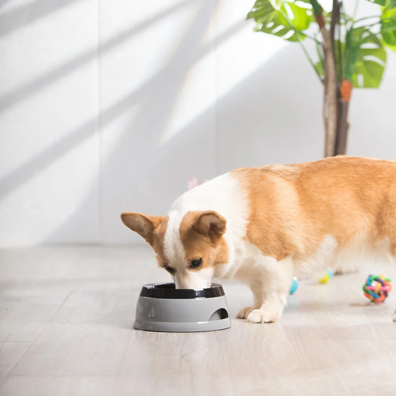 Floating Water Feeder Bowls image 3