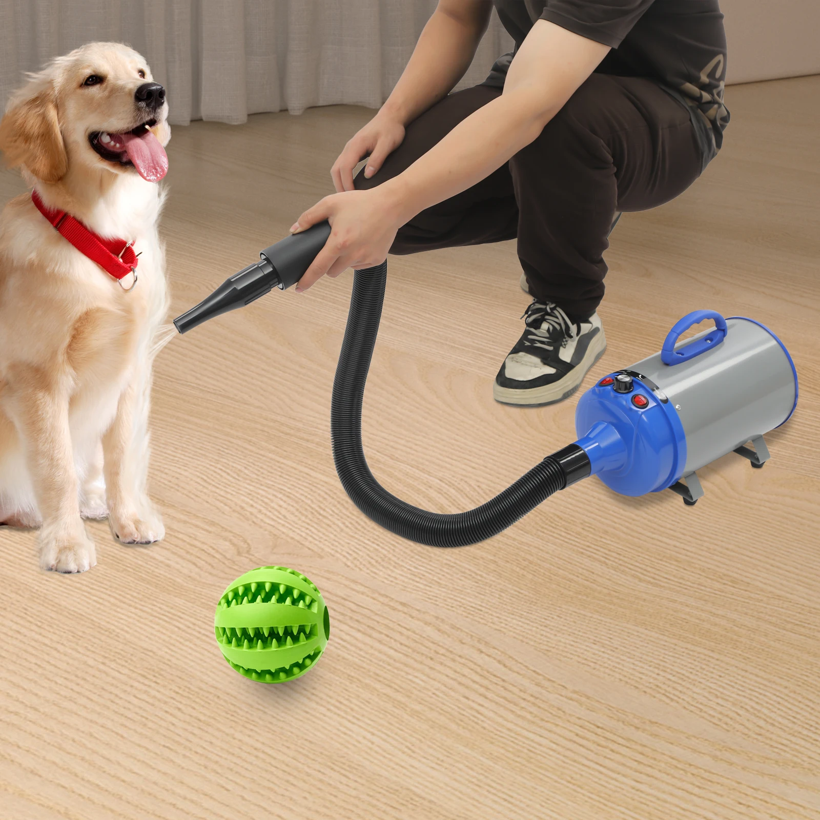 2200W Pet Hair Dryer Adjustable Design Wind Speed Electric Dog Cat Hair Dryer Pet Drying Machine with 4 Nozzles