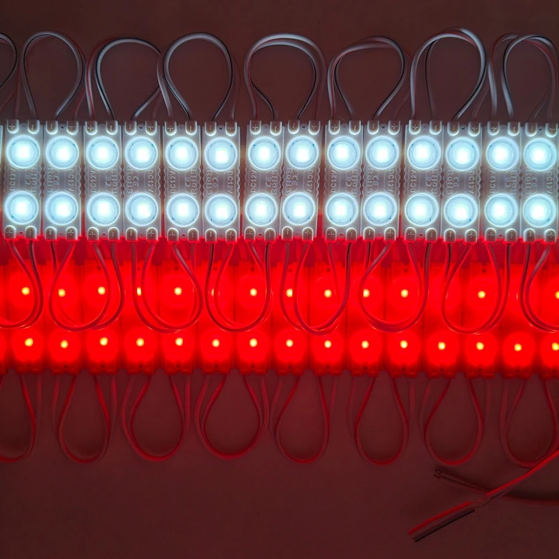 20pcs/lot 2LED injection led module light lamp white /warm white DC 12V with lens Waterproof IP65