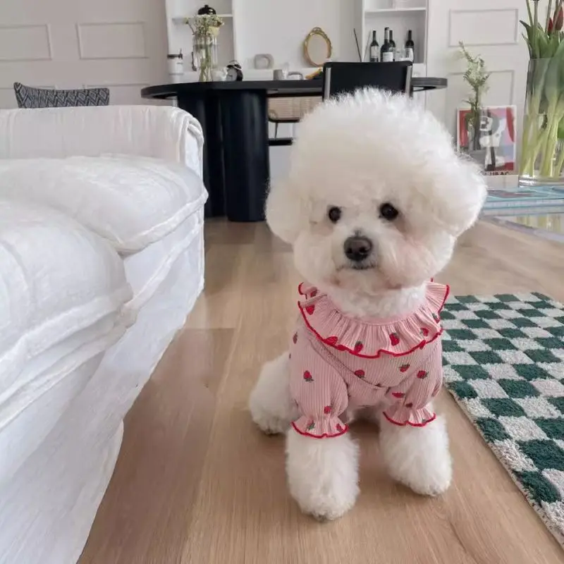 딸기 프린트 작은 개 고양이 조끼 여름 통기성 프릴 칼라 작은 개 고양이를위한 귀여운 애완 동물 의류 부드럽고 편안한 착용