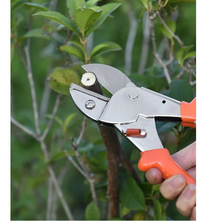 SK5 Steel Garden Pruning Secateurs Horticulture Fruit Tree Shears with Ergonomic Handles Gardening Scissors Bonsai Cutters 1pc