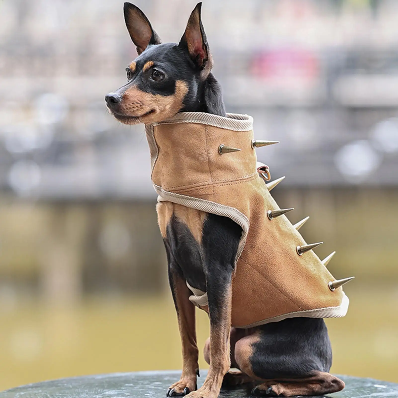 Dog Protection Vest Adjustable Pet Clothes Bite Proof Dog Vest With Removable Spikes For Training Outdoor Hiking Walking