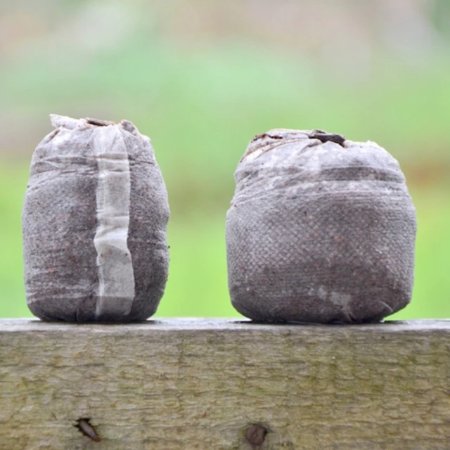 10 Darabos Kertészeti Palánták Talaj Sűrített Tápanyagblokk Tőzegpelletek 3Cm 4Cm 4,5 Cm 5 Átmérőjű Tenyésztési Szubsztrát - Image 6