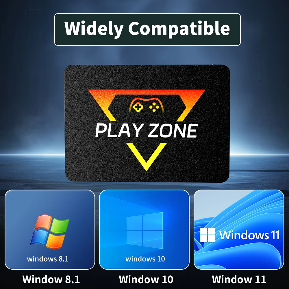 Play Zone 1TB Gaming SSD 80+ Emulatore per PS5/PS4/Switch/XBOX/PS3/PS2 con 16191 giochi Playnite, lanciobox e retrobat per PC/laptop 5