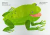 Brown Bear What Do You See By Bill Martin Jr. Eric Carle English Picture Book for Kids Learning Games Gifts 5