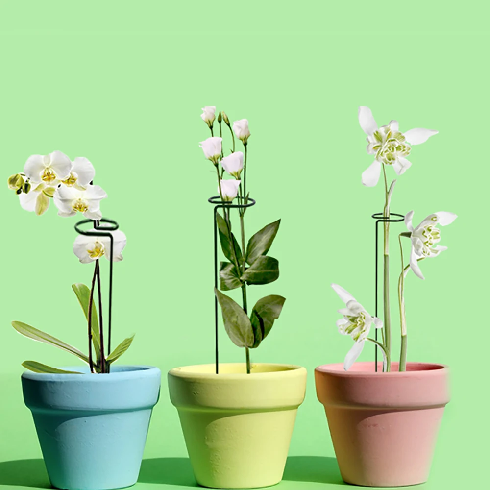 1 Pcs Plant Flowers Support Stake Backyard Beautiful Support Plant Stakes Bonsai Tool Stand Ring