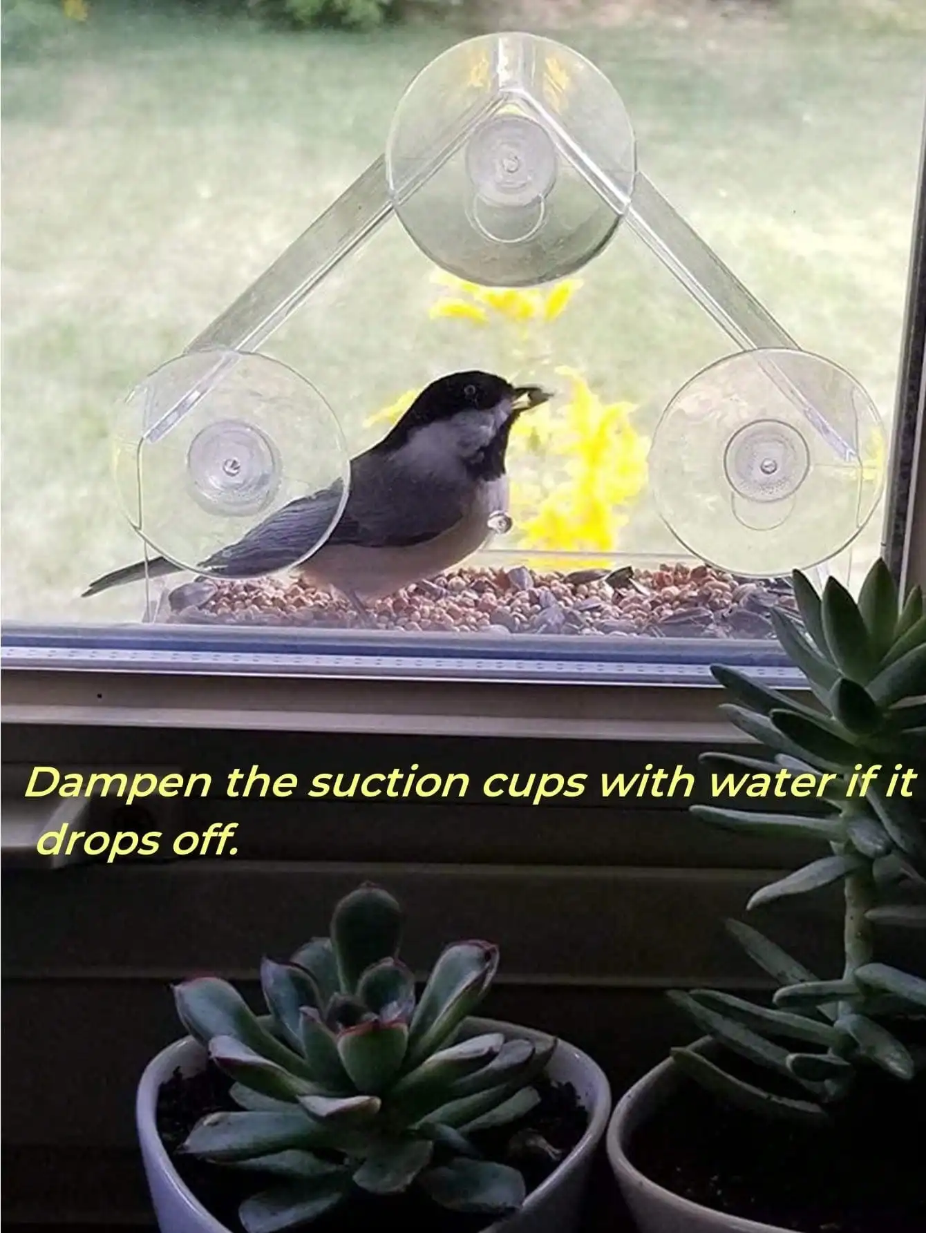 Acrylic Bird Feeder Clear Window Hanging House with Suction Cup For Garden Outdoor Backyard