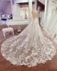 JIERUIZE Luxury Lace Appliques Backless Wedding Dresses Deep V-neck Spaghetti Straps Bridal Gowns Sexy Low Back Court Train 3