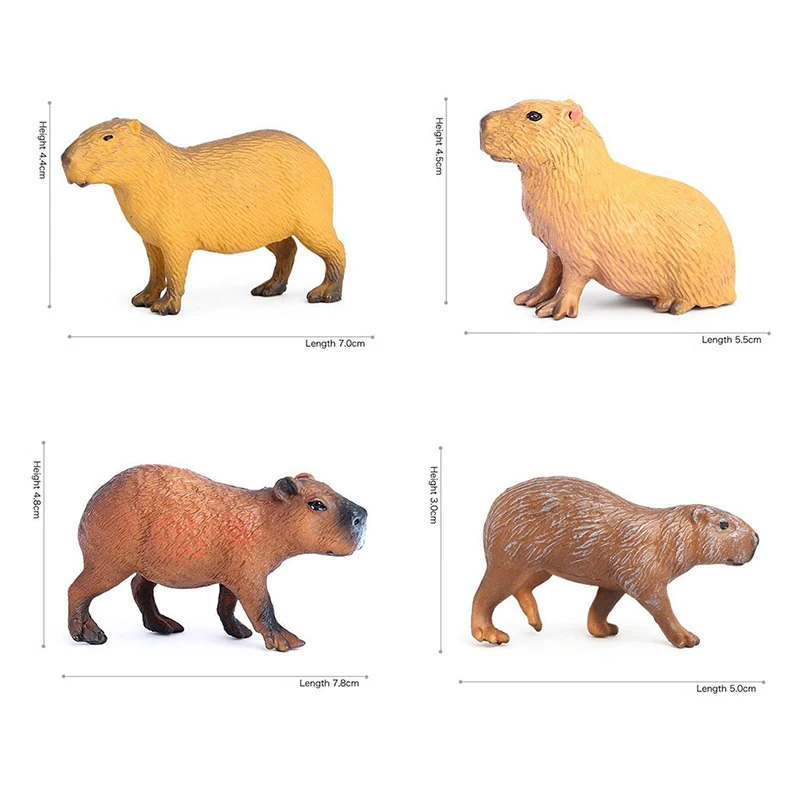1PC Simulation Wilden Tier Modell Spielzeug Simulation Capybara Tabletop  Home Dekoration Kognitiven Modell - AliExpress