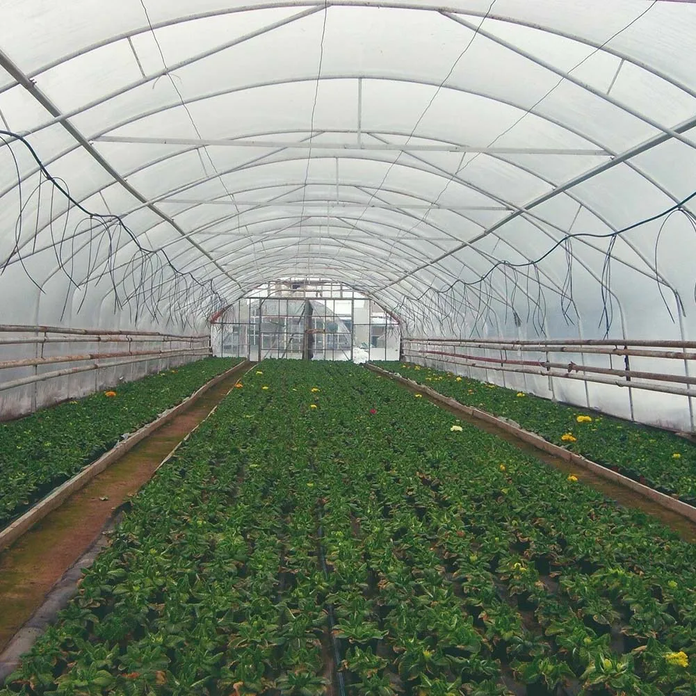 Clear Polythene Plastic Sheeting Garden DIY Material Cover Greenhouse Roof