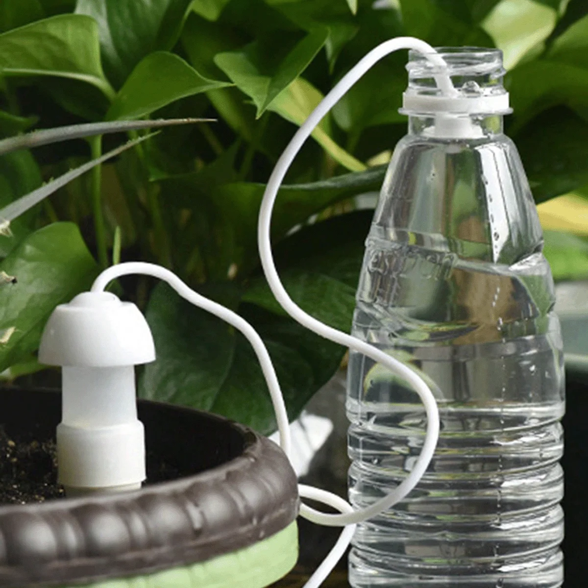 Premium Ceramic Watering Spikes Set - Automatic Drip Irrigation for Indoor & Outdoor Plants
