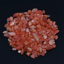 Vibrant Natural Crushed Shell Beads for Weddings, Vase Fillers, Home Decor, and Crafts (Red shell)