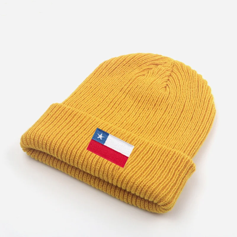 embroidered Chilean flag wool hat autumn and winter warm knit ear protection thickened