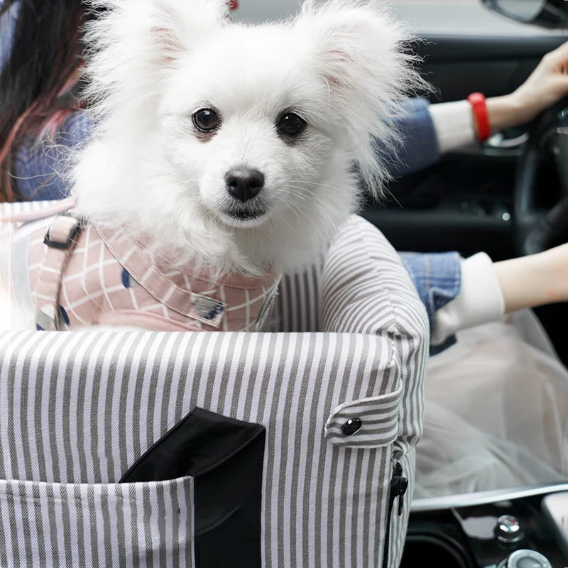 Asiento de coche plegable portátil para perro, silla de seguridad para  mascotas, cesta para portador de cachorros pequeños y medianos, Protector  de