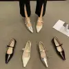 2025 Spring and Autumn New Fashionable Silver Mary Jane Shoes French Pointed Flat Bottom Women's Leather Shoes 1