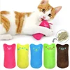 Interactive catnip plush toy for cats and kittens
