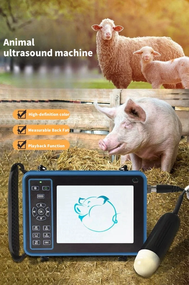 Description Picture 2 of itemVeterinary Ultrasound Scanner Portable Pregnancy Testing For Cattle Cow Pig Sheep Horse Farm Animals Pet B-ultrasound Equipment