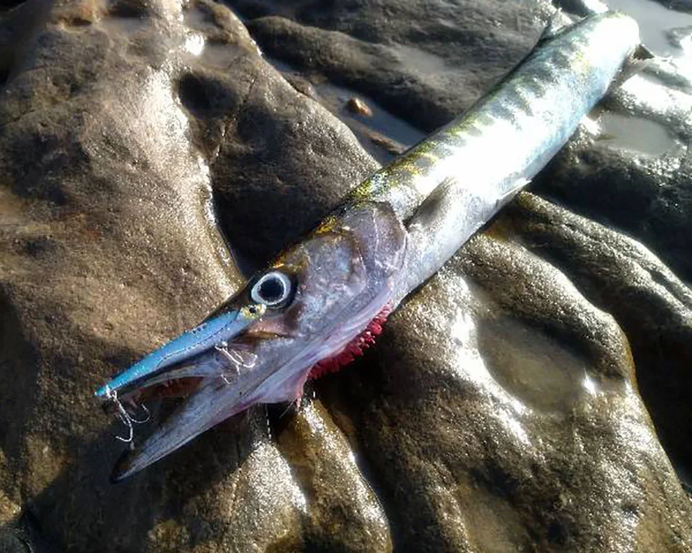 Description Picture 6 of itemVIB Fishing Lure 20g 25g 30g Metal Jig Sinking Spinning Blade Cast Pesca Treble Hooks VIBRATION Tackle Vibetion Artificial Bait