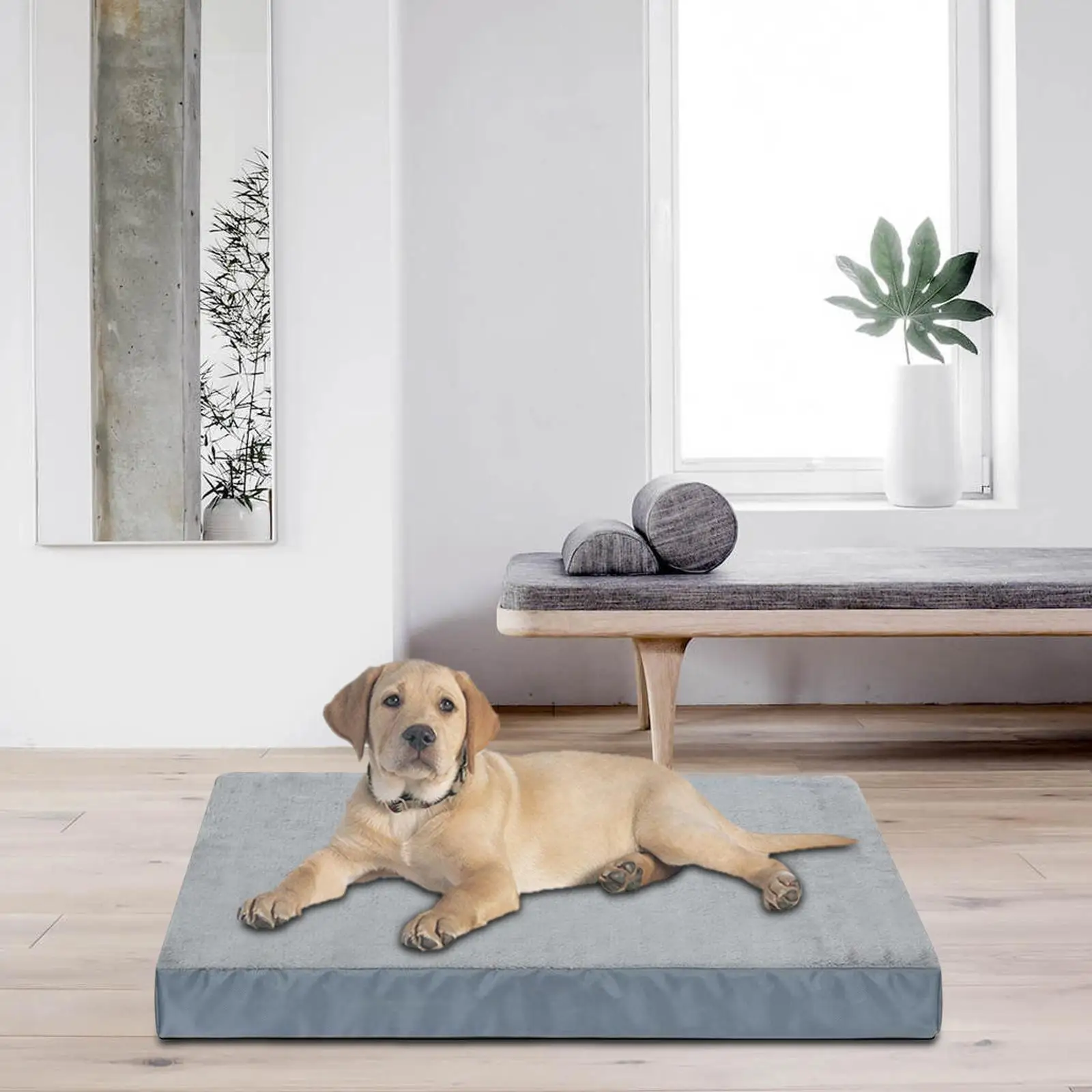 https://ae01.alicdn.com/kf/S28ad8f94971f492cb13de703f4efde26a.jpg Pet Blanket Cat Sleep Pad Memory Foam Beds Washable Comfortable Soft Warm Dog Bed Mat for Puppy Crate Small, Medium, Large Dog
