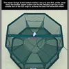New Type of Fish Net Fish and Shrimp Cage Fishing Net River Shrimp and Eel Hand-thrown Net Cage 5