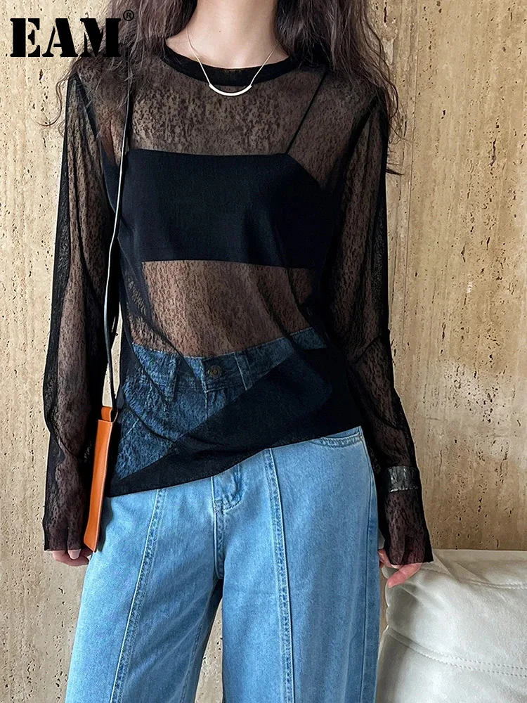 

[EAM] Women Black Thin Mesh Perspecitve Casual T-shirt New Round Neck Long Sleeve Fashion Tide Spring Summer 2024 1DH5182