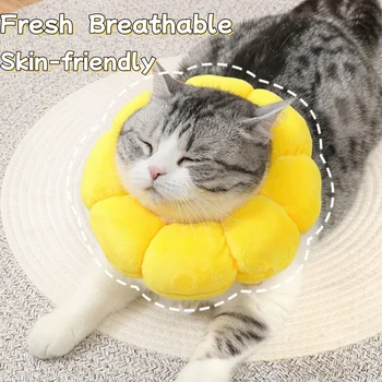 Sunflower Pet Elizabethan Collar 1