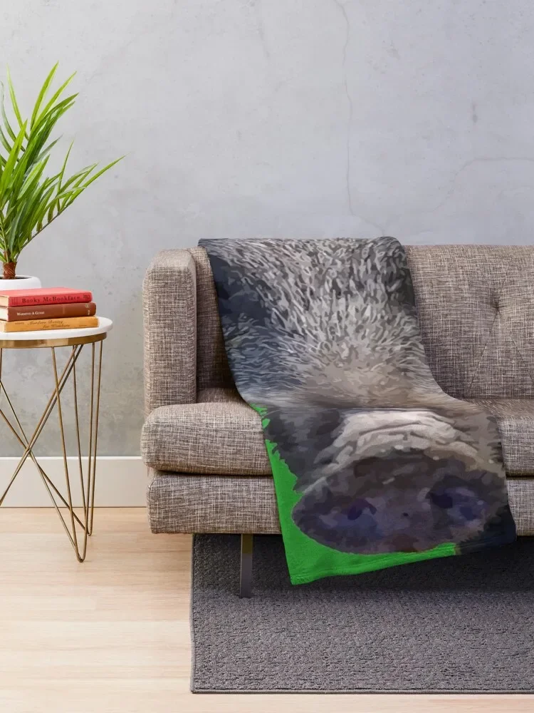 ����� ����� �� ���� ���� ��Ʈ ������ ���,  ��� ������ �м� ���� ���