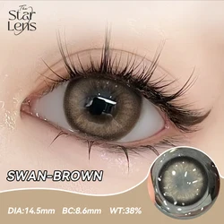 Enhanced Natural Soft Grey Colored Contact Lenses - 14.5mm, 2 - Pack, 6 - Month Wear - 800 (Swan - brown)
