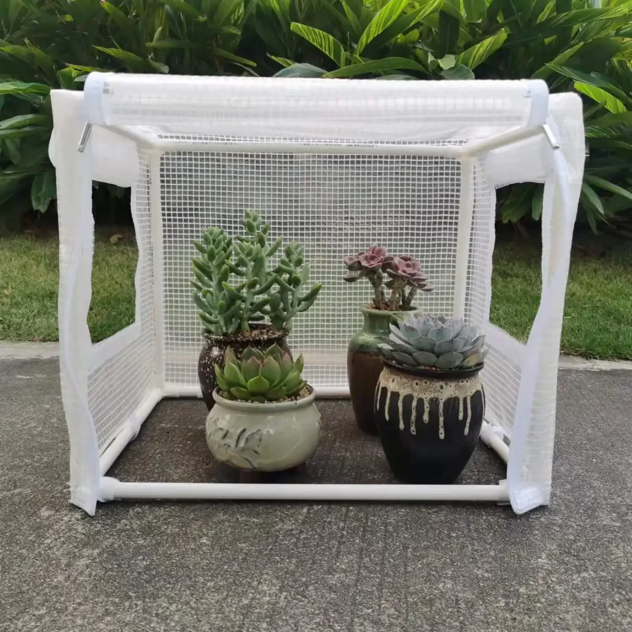 Outdoor Indoor Mini Small Home Backyard Portable Plastic Garden Greenhouse Tent Waterproof Breathable Warm Protector