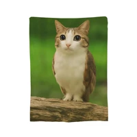 Internet Famous Meowl Cat Owl Meme Blanket Super Soft Velvet Lightweight For Sofa Bed Office Travel Picnic All Season 3