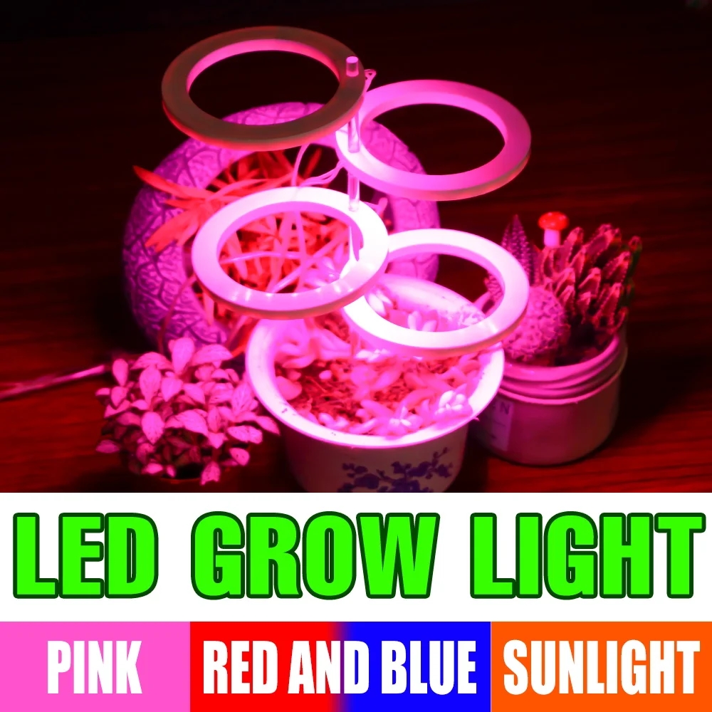 Led Angel Phyto Light Dc 5V Grow Light Led Serra Growing Bulb Usb Full Spectrum Hydroponic Indoor Flower Planting Plants