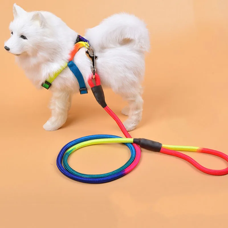 2 Sizes Dog Leash Running Walk Train For Large Small Cat Pets Leashes