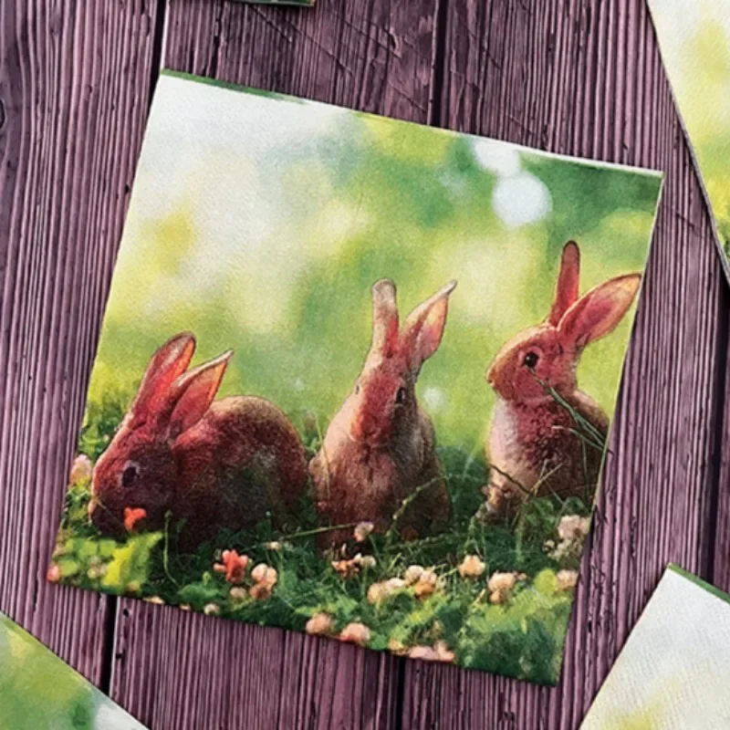 10/20pcs 33cm 2-Ply Meadow Bunny Printed Paper Napkins Easter Party Decorative Paper Placemats Cocktail Napkins