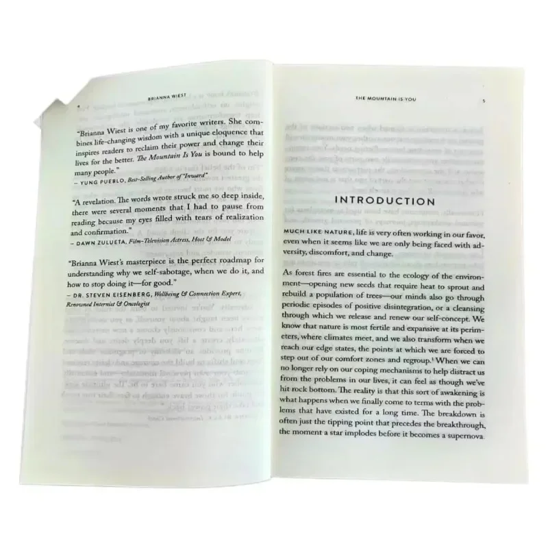 The Mountain Is You: Transforming Self-Sabotage Into Self-mastery 6