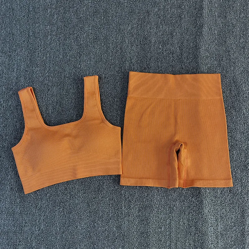 2 PCS Women Yoga Set Sporstwear Seamless Sexy Sport Bra with High Waist Shorts Gym Clothing Fitness Sleeveless Tracksuit