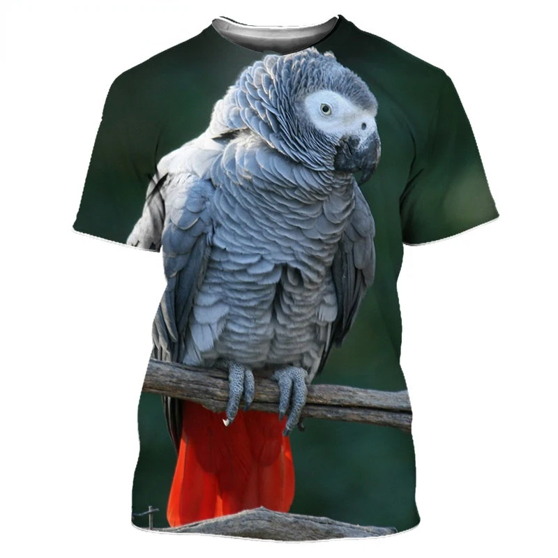 Grey Parrot 3D Print Oversized T Shirt for Men and Women