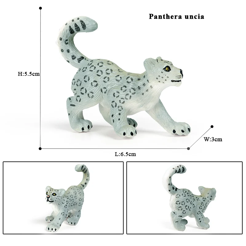 animals model