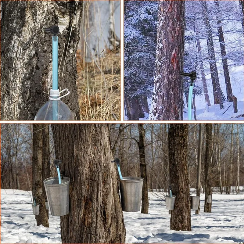 AA81-Maple Syrup Tapping Kit Maple Tap And Food Grade Dropper Extractor For Maple Syrup Supplies