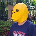 Only Yellow Mark