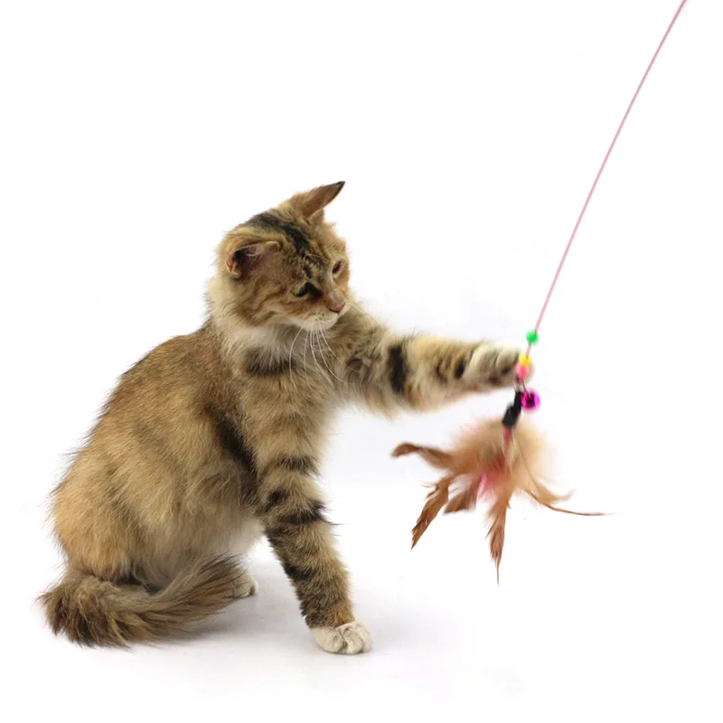 

Plastic Metal Wire Feather Cat Catcher Teaser Cat Teaser Wand Toy Sticks Cat Interactive Training Toys Cat Toy Gifts 110cm