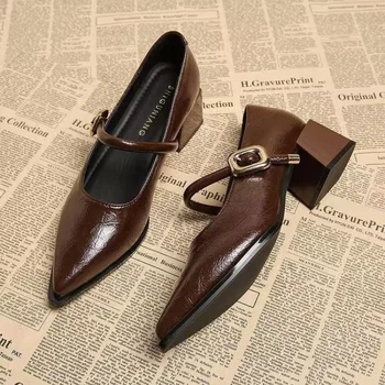 2025 Premium Leather Mary Janes - French Vintage Pointed Toe Pumps Chunky Heel Single Strap Shoes Buckle Decor 1